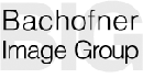 link to Bachofner Image Group